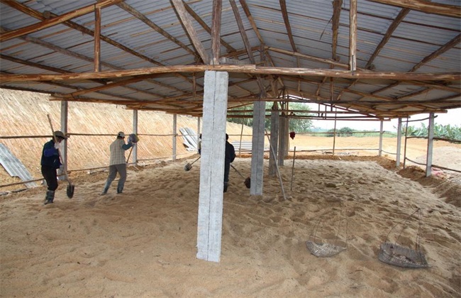 野鸡场地建设布局