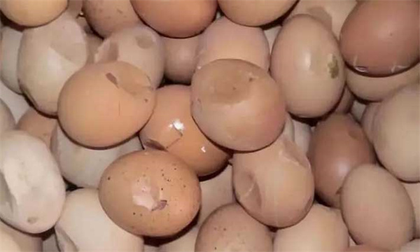 减少不合格种蛋
