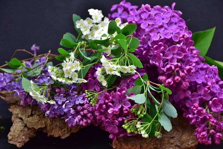 “西兰花-荷仁豆-洋扁豆＂高效种植模式