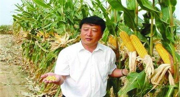 紧凑型玉米高产的原因是什么