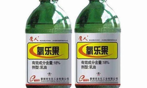 乐果属于什么类型农药