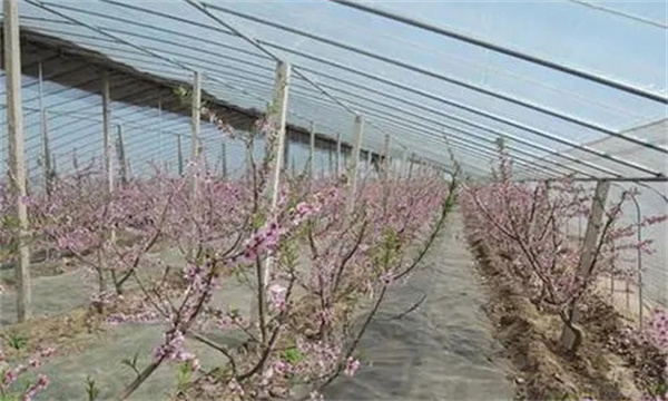湿度管理