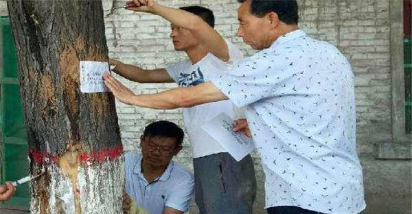 注射法