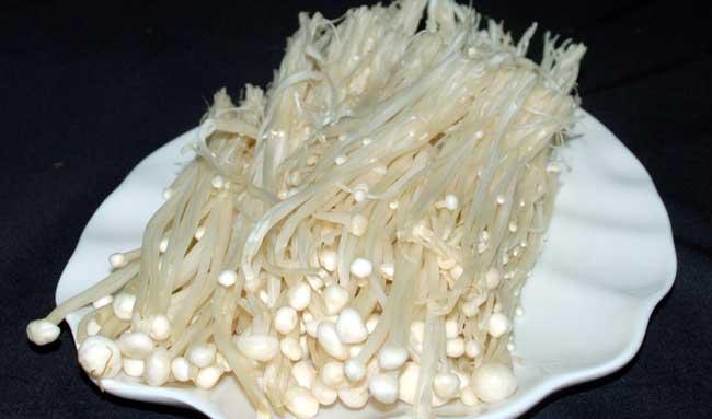金针菇种植管理方法