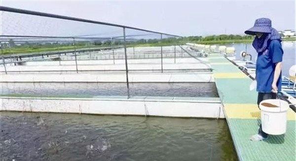 保证饲料质量、掌握好投喂量
