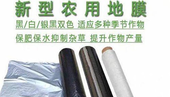 黑白双重地膜