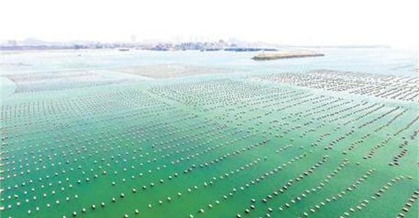 浮筏式