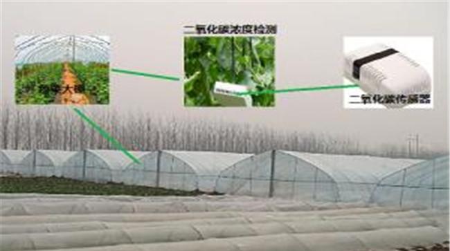 二氧化碳施肥方法
