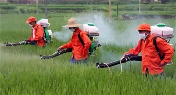 农药施药方法