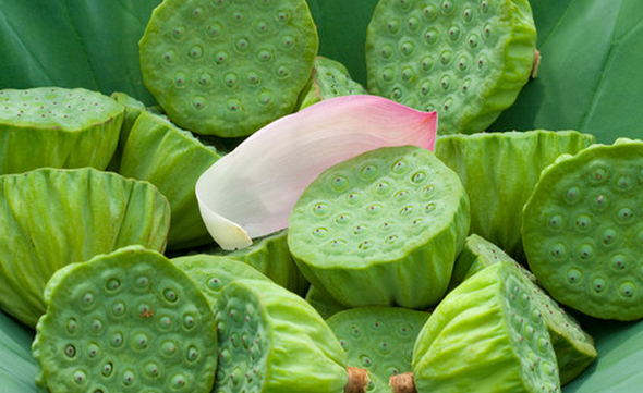莲蓬怎么吃 莲蓬的常见吃法
