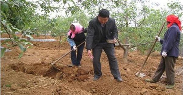 改进施肥方法