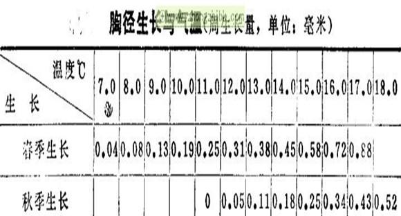 杉木喜欢什么样的温度条件