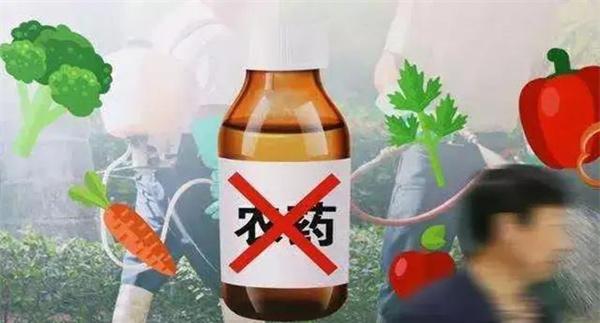 禁止使用的农药