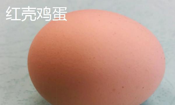 白壳鸡蛋和红壳鸡蛋的区别