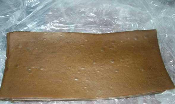 特种动物养殖方法