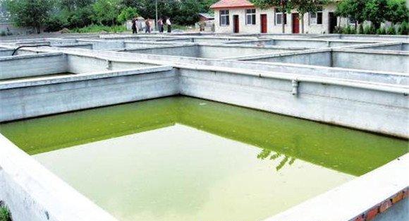 精养鱼池的建设标准是什么