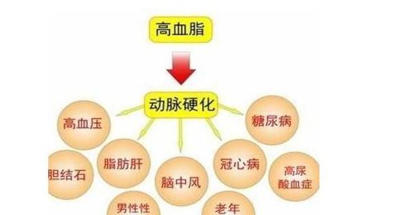 血脂高对人体的危害