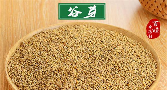 小米谷芽的功效