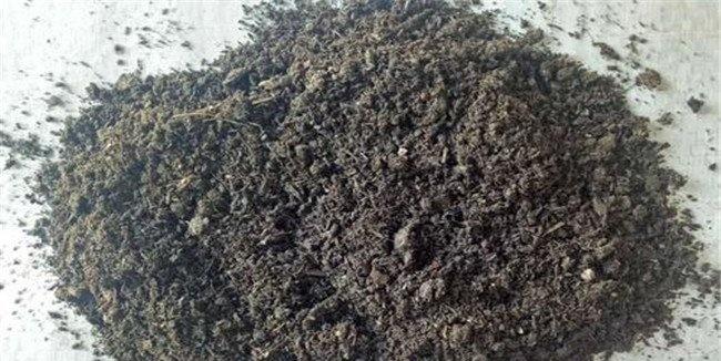 羊粪为什么不能直接做肥料