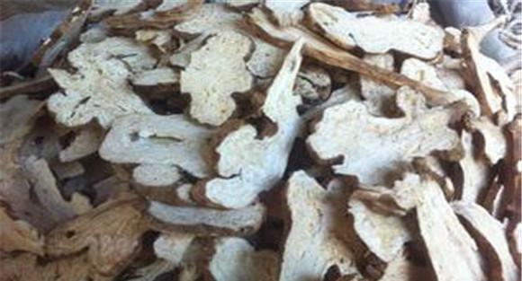 白术的功效与作用是什么