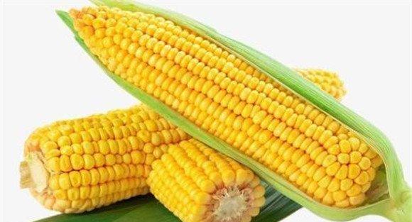糯玉米和甜玉米的区别