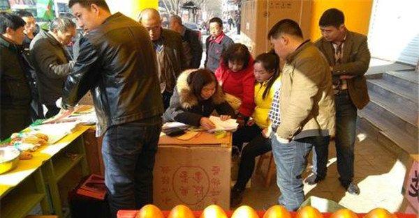选购种子应该注意什么