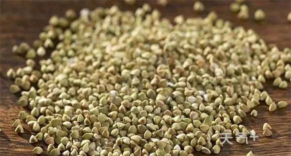 荞麦有哪些药用和食疗价值