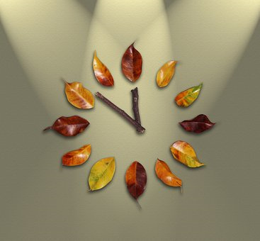苹果的功效－苹果减肥法