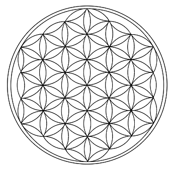 红富士苹果树“垂柳式”综合管理技术