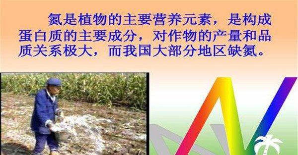 氮肥对作物生长发育的作用
