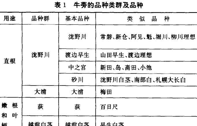 牛蒡栽培技术
