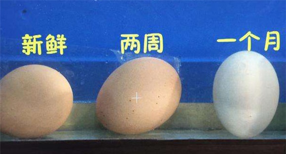 鸡蛋新鲜度检测