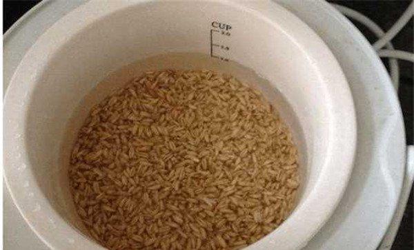 小麦种子播前泡水的作用