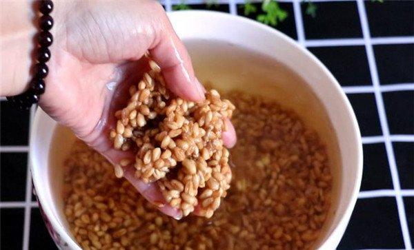 小麦种子用热水还是冷水泡