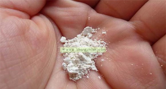 珍珠粉的功效与作用