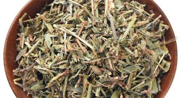 萹蓄的用法、用量与禁忌