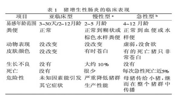 猪增生性肠炎治疗方法