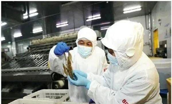 南美白对虾虾苗运输问题