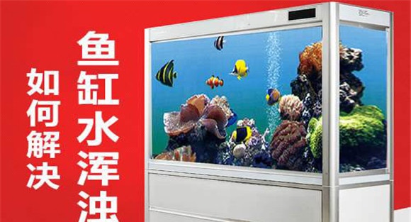 水族箱水浑浊用什么药