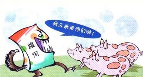 猪流行性腹泻怎么治