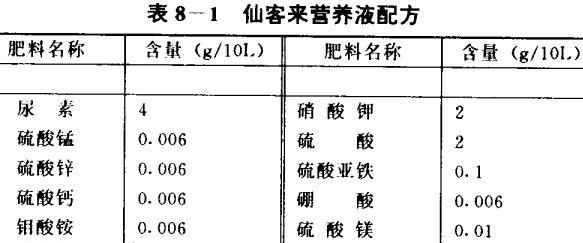 仙客来