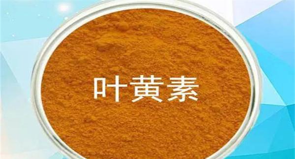 什么是叶黄素