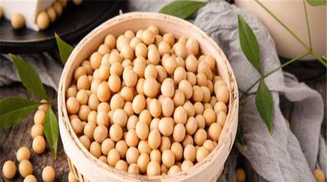 大豆的营养价值