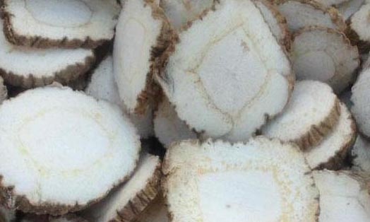 白芷的功效与作用