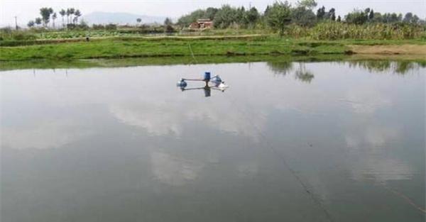 养鱼池塘溶氧的来源和消耗途径
