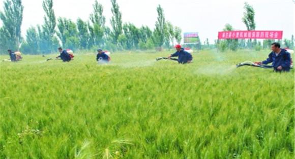 秋作物无公害低容量施药防治技术
