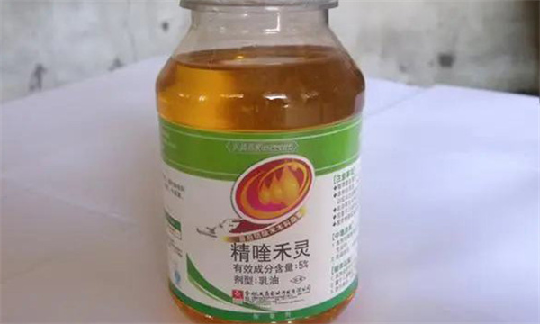 精喹禾灵用于哪些作物