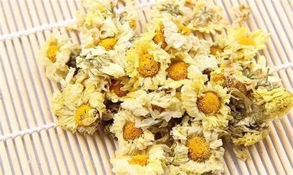 杭白菊的加工方法简介