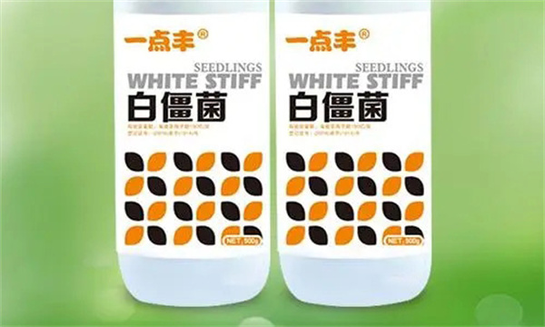 白僵菌