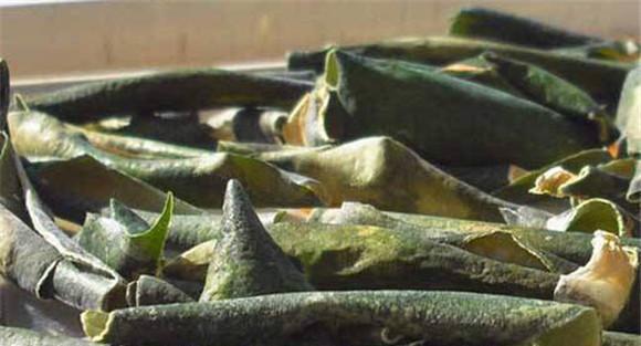 有关冬瓜皮的小药方